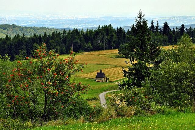 Dovolená v horách